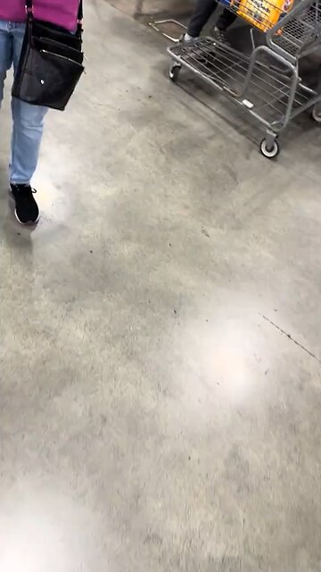 🐶 Supermarket Showdown: Dog Sparks Heated Altercation