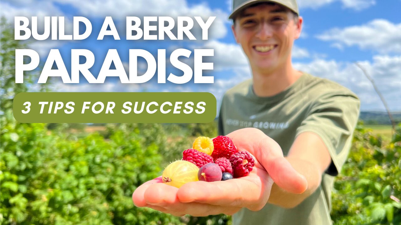 How To CREATE A Berry PARADISE | 3 Tips For SUCCESS