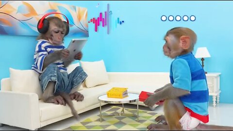 Baby Bon Bon the monkey eats sausage jelly and misbehaves in the pool with the ducklings.