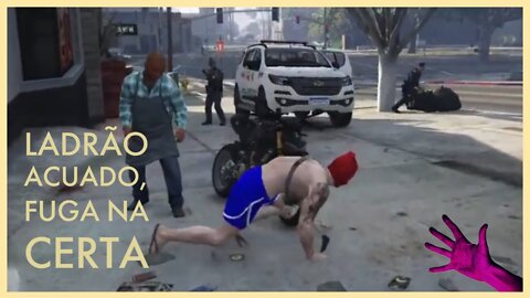 Ladrão Acuado ||| Gta 5 RP