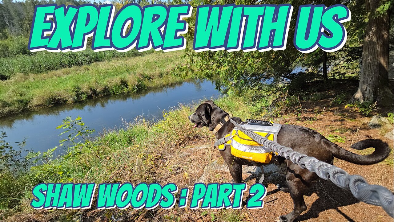 Explore With Us: Shaw Woods Part 2