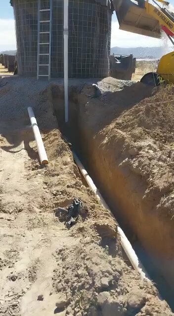 Instalando el sistema de riego para los árboles