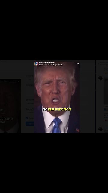 There Was No Insurrection