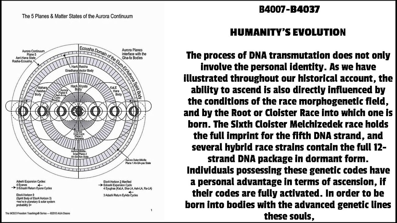 HUMANITY’S EVOLUTION The process of DNA transmutation does not only involve the personal identity.