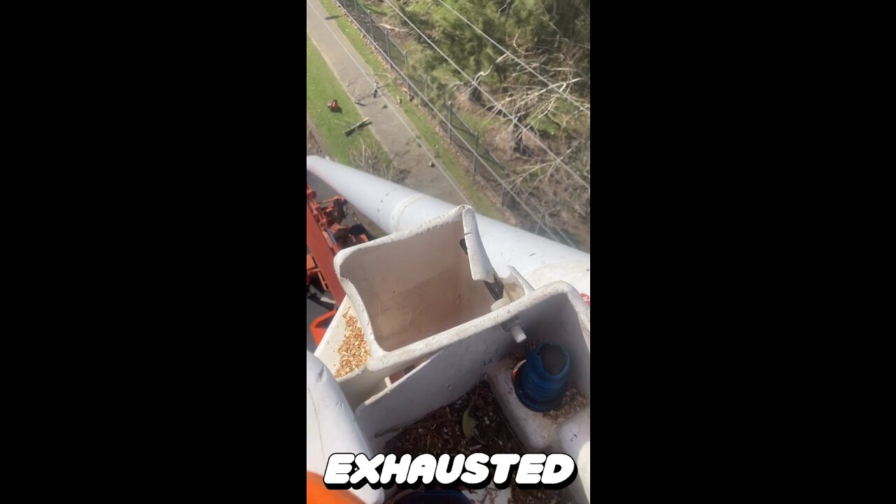 Arborist