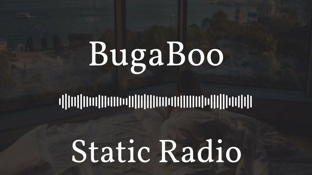 BugaBoo | Static Radio