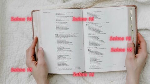 SALMO 16 – Para tomadas de decisões importantes na vida - Vídeo 17
