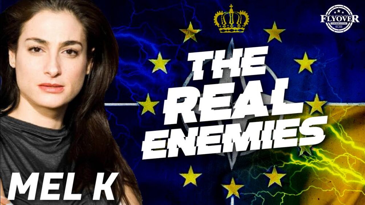 THE REAL ENEMIES: Crown, DC, WEF, NATO, Globalists vs Nationalists | Mel K