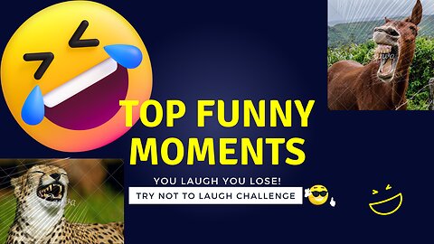 Funny Animals Moments - Cats And Dogs |Don't try to stop laughing 🤣|