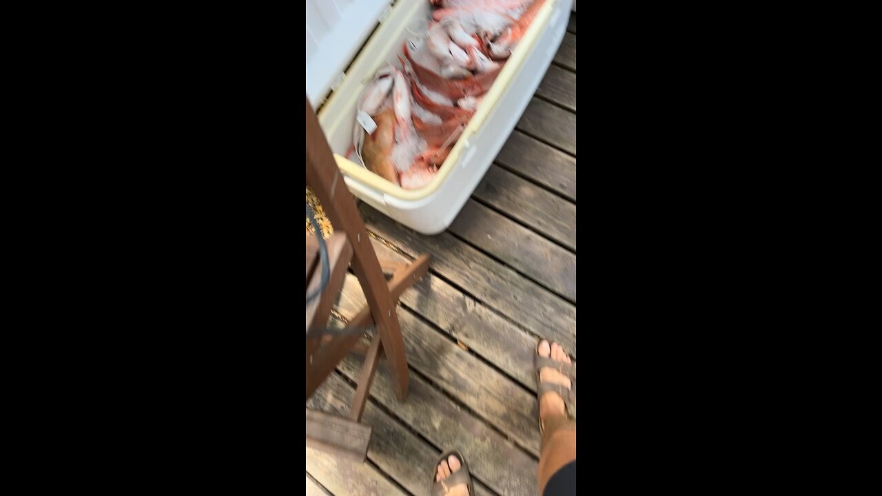 giant haul this summer