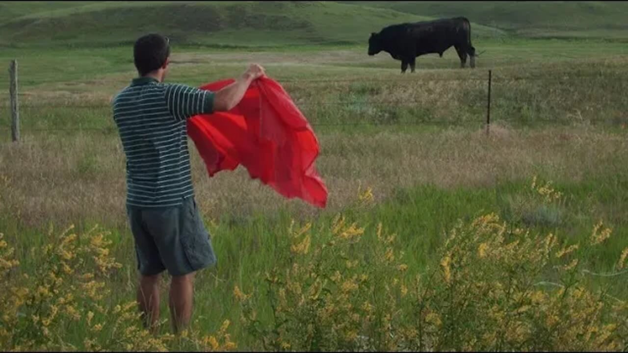 Live Call In Show | Let's start with the truth