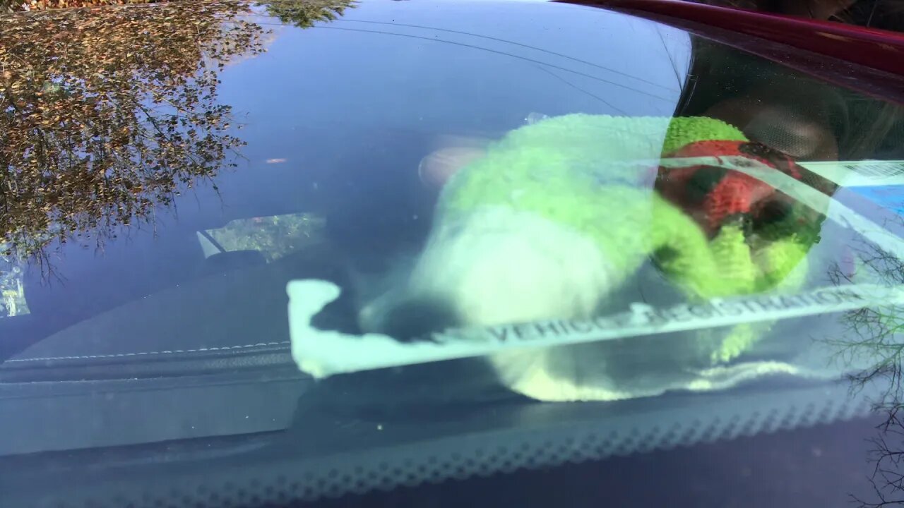 A Day In The Life Of An Oiler - Naturally Removing Your Vehicle Registration Sticker - Episode #33