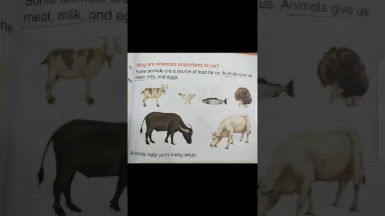 Class I Science Unit 5 Animals and How They Live 1st Lec