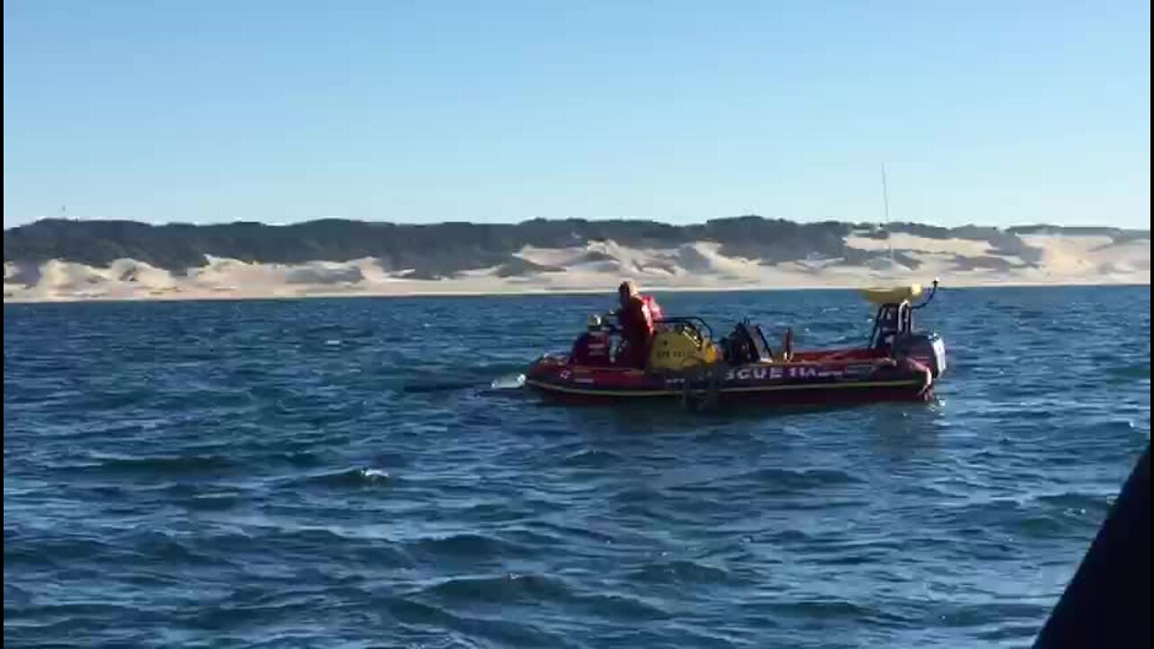 Humpback whale disentangled at Kowie River Mouth (5bP)