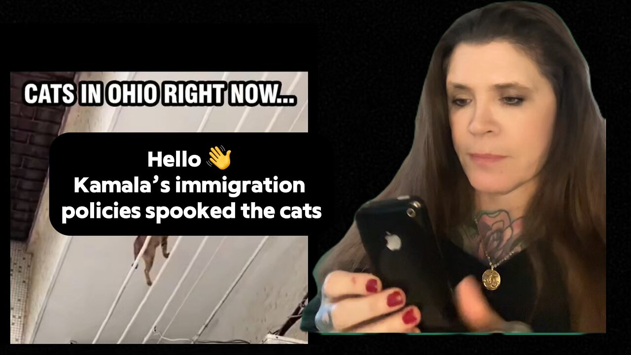 Cats vs Kamala