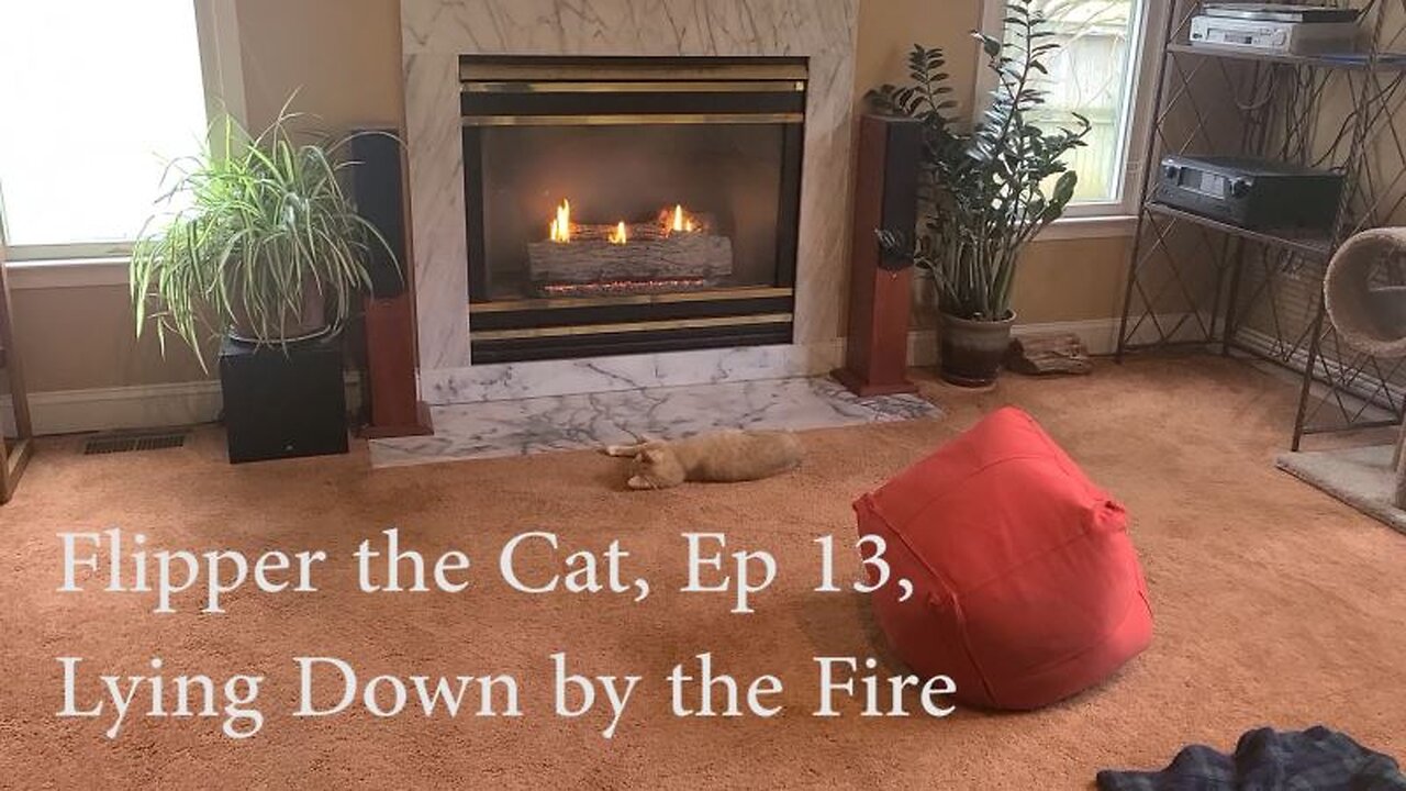 Flipper the Cat, Ep 13, Lying Down by the Fire