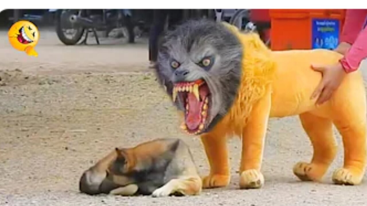 The Ultimate Compilation: Fake Lion, Tiger Prank To dog😂 | Laugh | Stress Buster