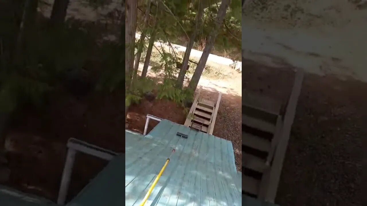 Clean off Roof