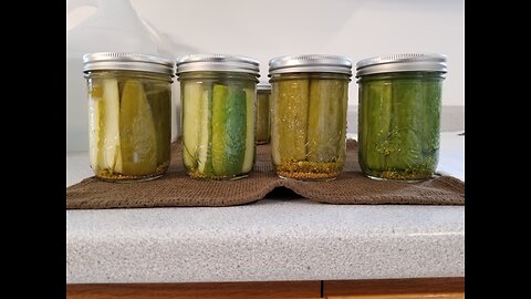 Homemade Crispy Dill Pickles for your Pantry. Lets Get Canning!