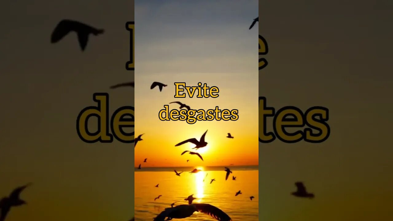 EVITE DESGASTES 😊 #frases #shorts