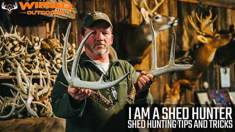 I Am A Shed Hunter - Shed Hunting Tips and Tricks