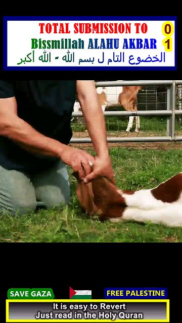 TOTAL SUBMISSION to [Bissmillah Alahu AKBAR] الخضوع التام ل "بسم الله - الله أكبر" 01#why_islam