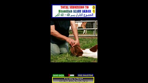 TOTAL SUBMISSION to [Bissmillah Alahu AKBAR] الخضوع التام ل "بسم الله - الله أكبر" 01#why_islam