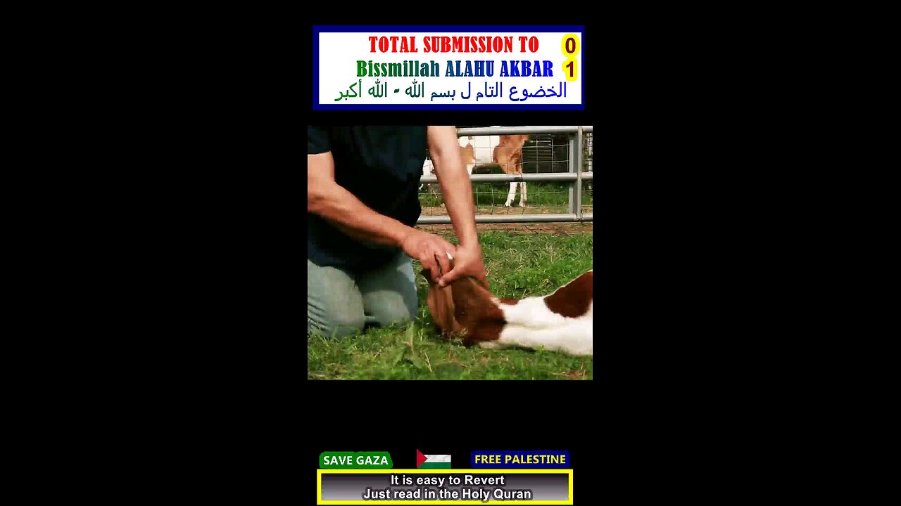 TOTAL SUBMISSION to [Bissmillah Alahu AKBAR] الخضوع التام ل "بسم الله - الله أكبر" 01#why_islam