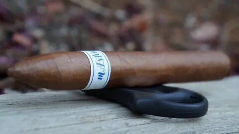 Team Review Recap: Bombay Tobak M.Esteli Torpedo