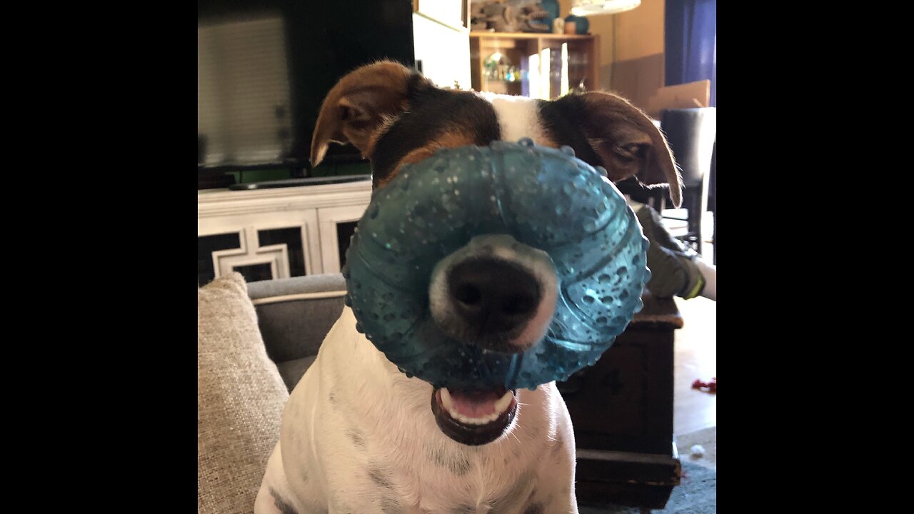 Jack sanding
