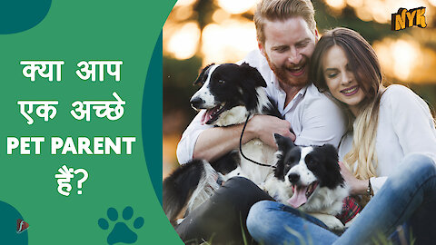 अपने pet की उचित देखभाल कैसे करे ? :) :)
