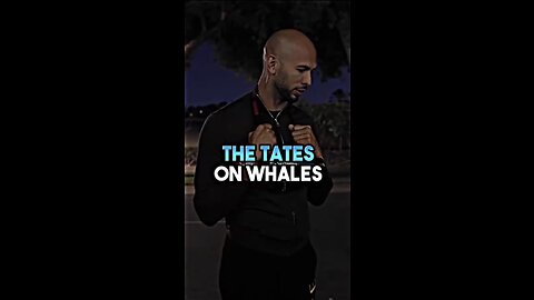 THE TATES ON WHALES