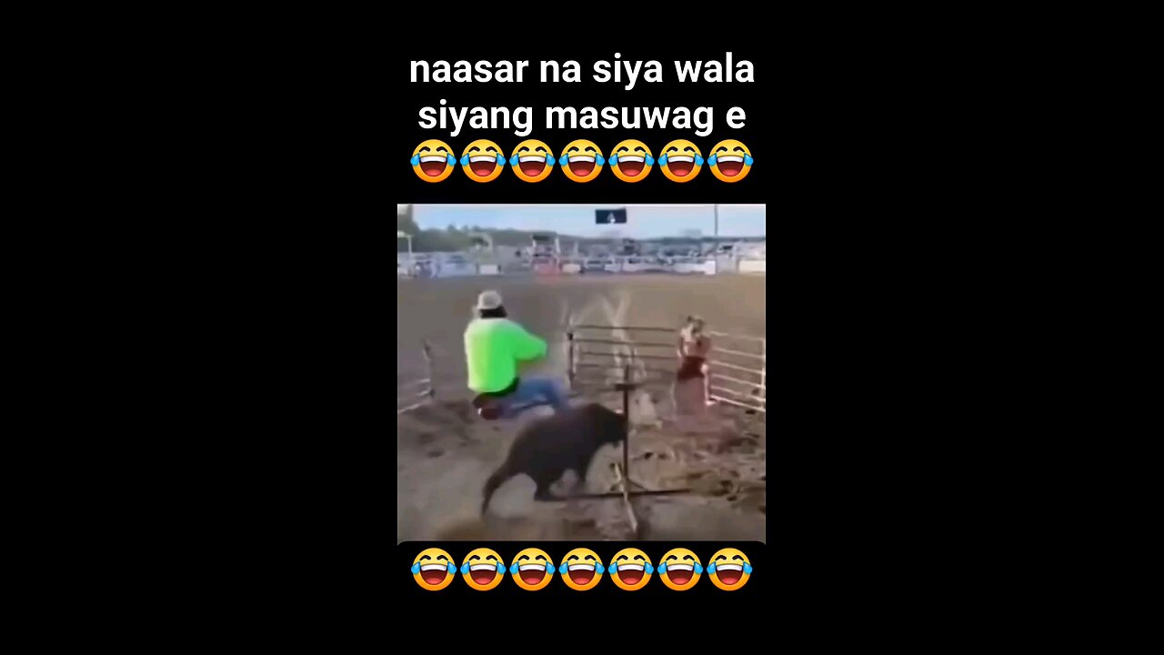 #bull fun with bull 🐂 ♉