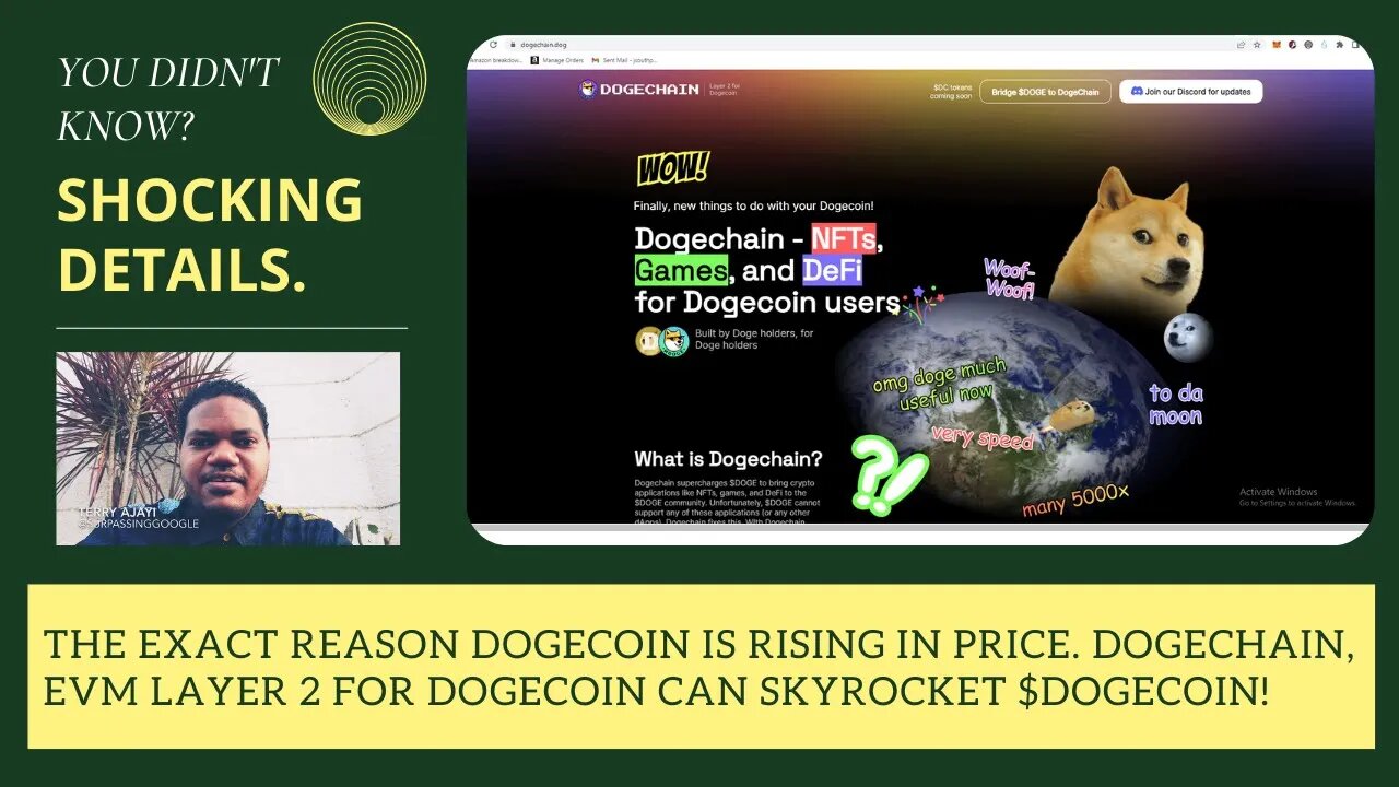 The Exact Reason Dogecoin Is Rising In Price. DogeChain, Evm Layer2 For Dogecoin Can Skyrocket Doge!