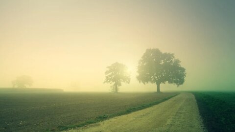 'A New Day' [Relaxing Meditative CC-BY] - Millennium