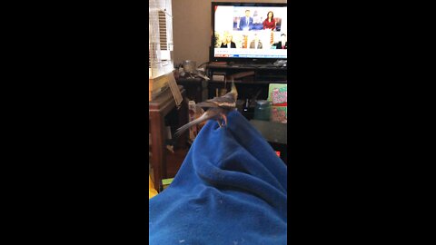 Cocktail Shakes visiting me