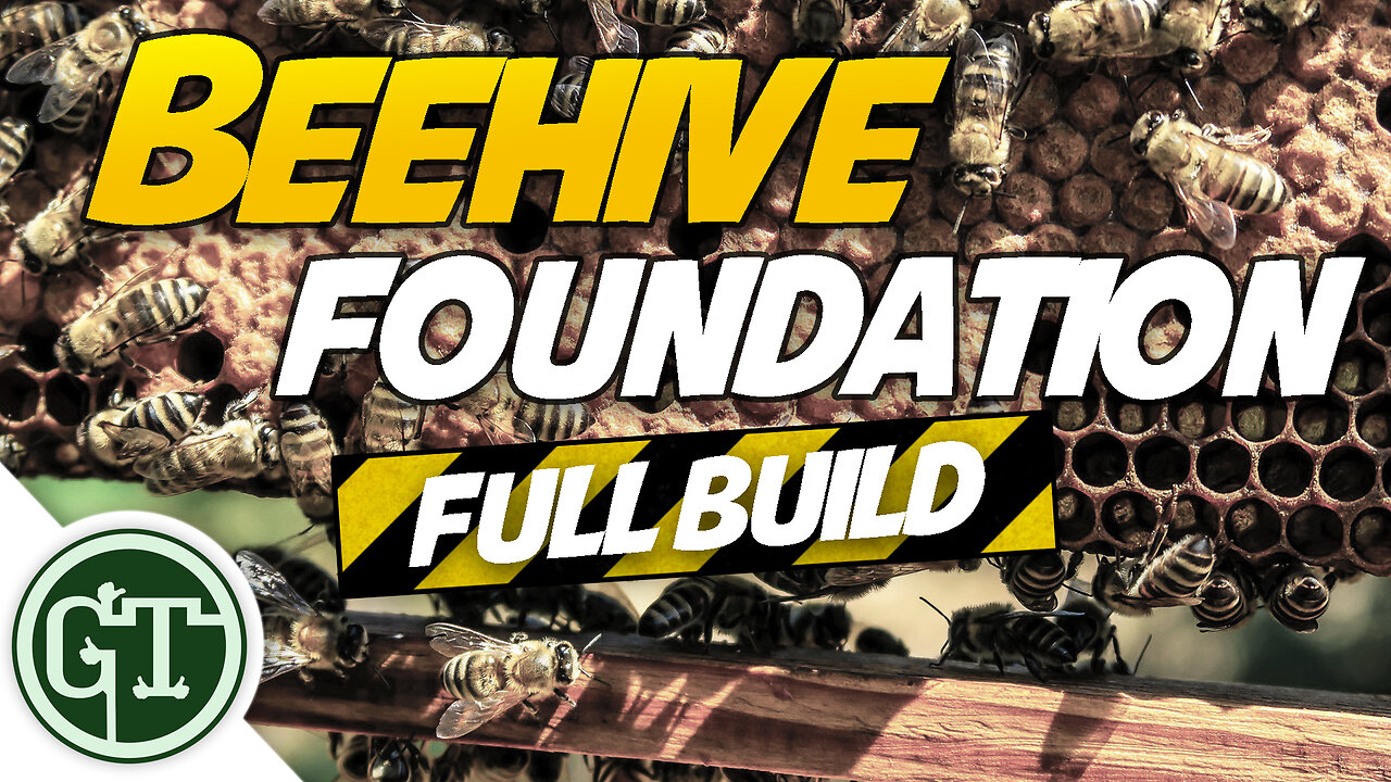The Apiary - Getting Started | Full foundation Build, Journey to Beekeeping eps 1