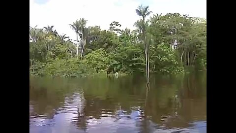 Soberania da Amazônia? Será que realmente temos?