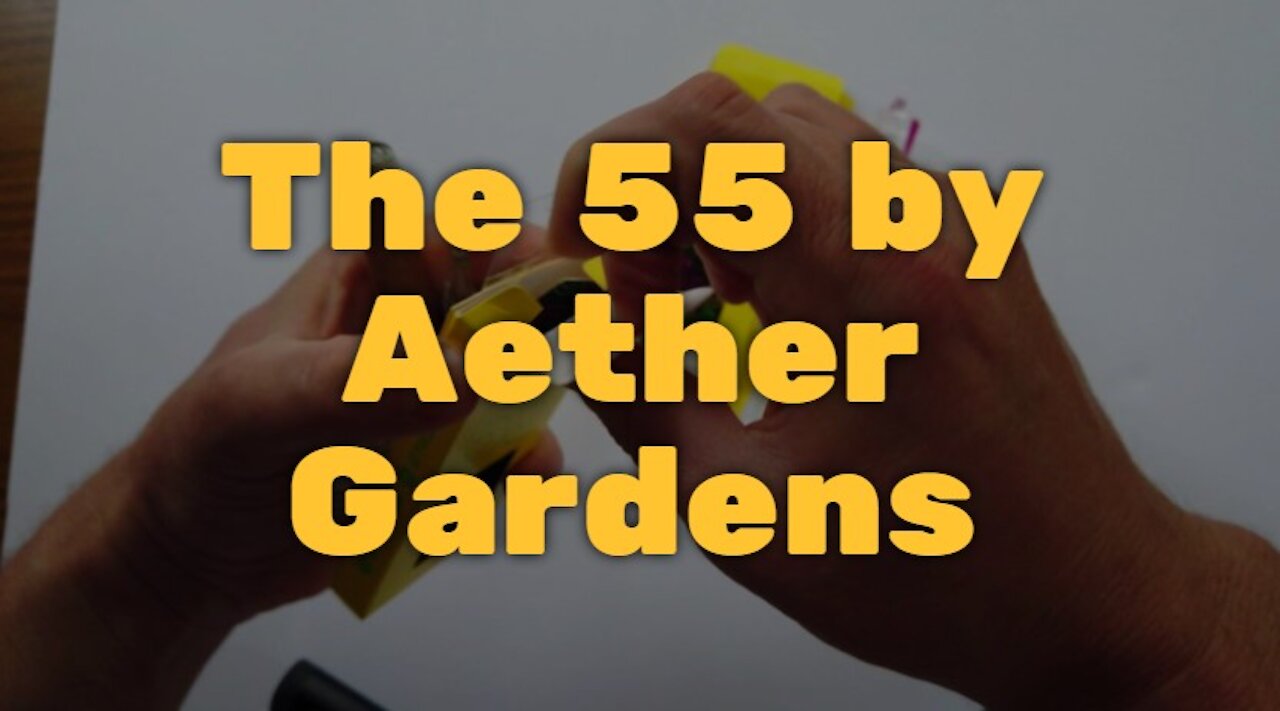 The 55 by Aether Gardens