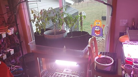 Viri Christi Gardening Vlog - Ep. 3 (3.23.23)