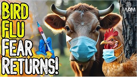 BIRD FLU FEAR RETURNS! - Calls For MASS Vaccination & Poisoning Of Meat Supply! - Prepare Yourself!