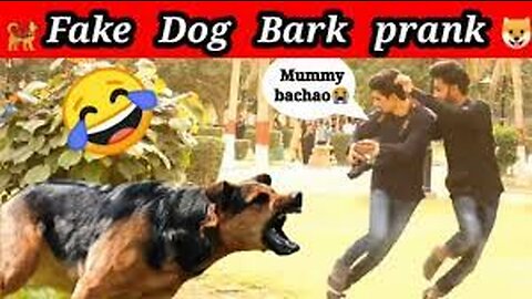 Fake Dog Bark Prank | LahoriFied