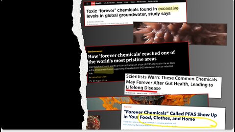 "You Are NOT Sick You Have Been Poisoned with Chemicals & Radiation" Dr. Robert O. Young