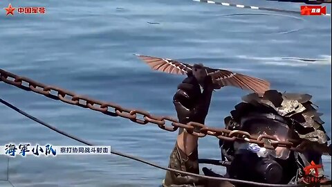 🚁 China Unveils Bird-Shaped Drone for PLA Marines 🦜🔧
