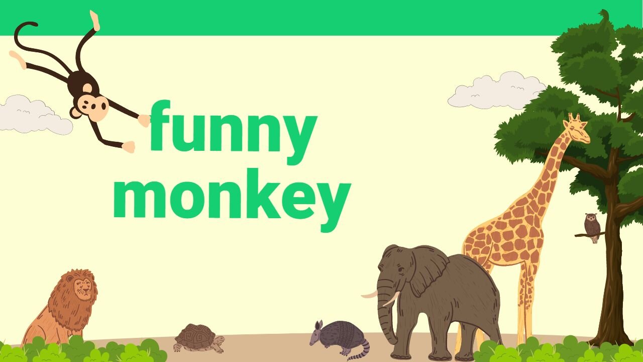 Funny monkey in 2023