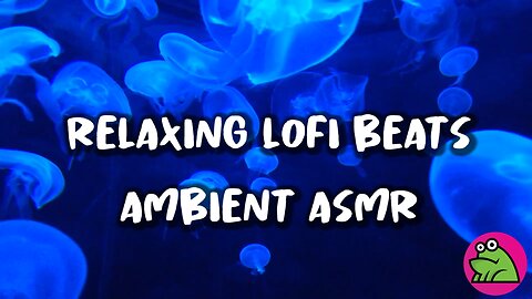 Relaxing LoFi Chill Vibes | L8COMP #lofimusic #lofi #lofibeats #chill #vibes
