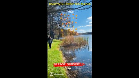 I’d Do This Walk EVERYDAY! Pond View