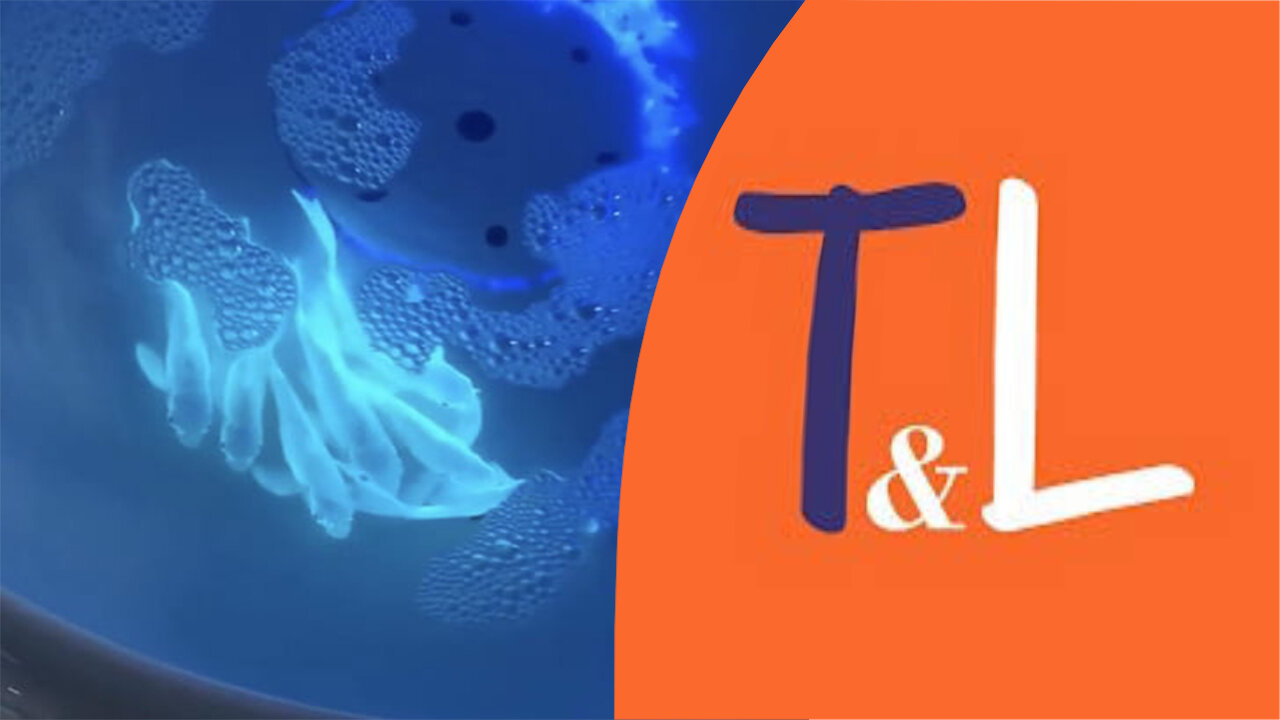 Scientist added jellyfish genes to a carp fish DNA. These glowing fish’s are the result