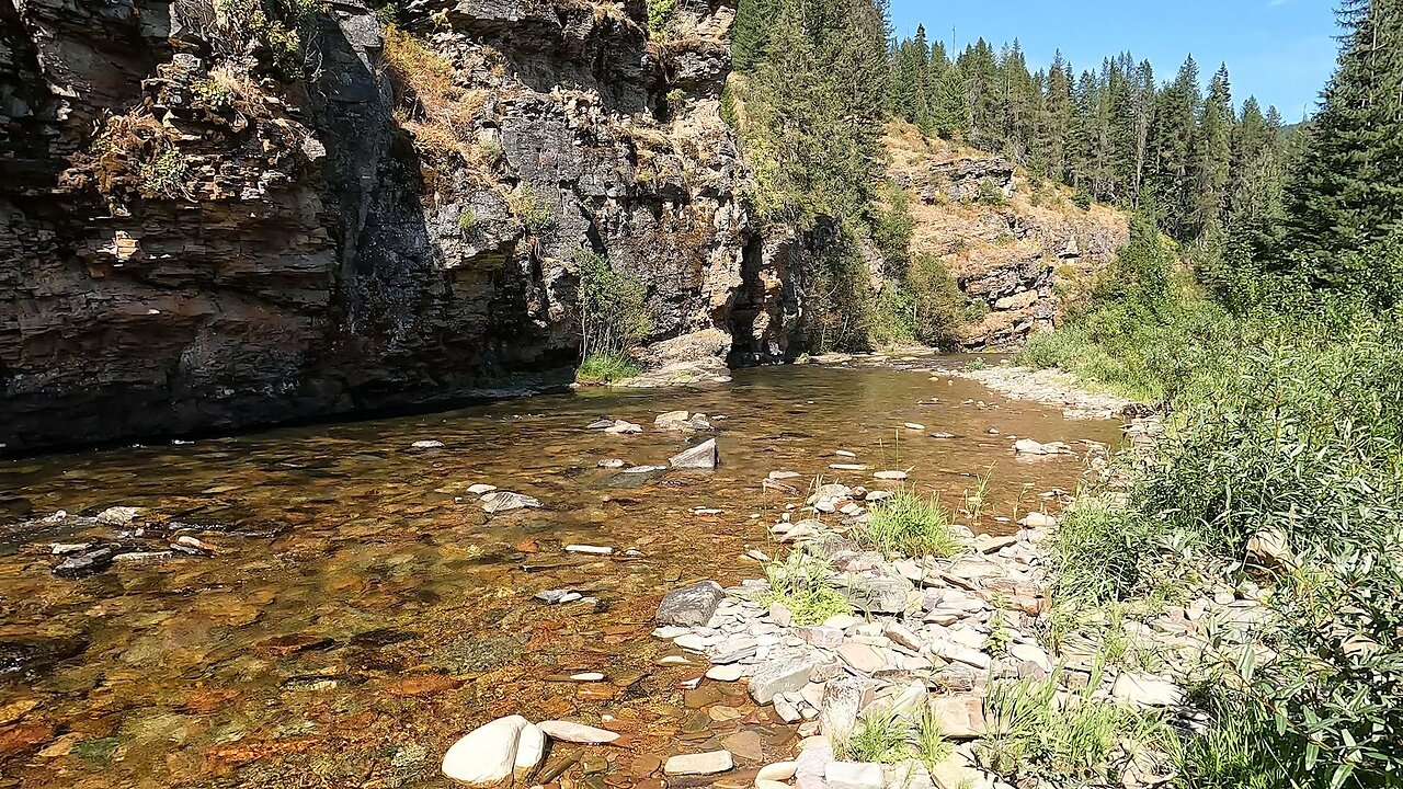 Beautiful small stream, nice fish, an nice video