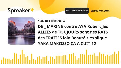DE _ MARINE contre AYA Robert_les ALLIÉS de TOUJOURS sont des RATS des TRAITES lolo Beauté s'expliqu